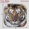 Tiger Theme Party Pack for 24 Guests! Photo-Realistic Tiger Supplies for a Roaring Good Birthday, Football, or any Big Cat Event! Includes 24 Dinner Plates & 24 Side Plates